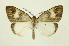 ( - INB0004121509)  @13 [ ] Copyright (2012) Juan Mata Lorenzen Unspecified