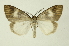  ( - INB0004121509)  @13 [ ] Copyright (2012) Juan Mata Lorenzen Unspecified