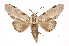  ( - INB0004127369)  @14 [ ] Copyright (2012) I. Chacon Instituto Nacional de Biodiversidad