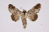  ( - INB0004127372)  @13 [ ] Copyright (2012) I. Chacon Instituto Nacional de Biodiversidad