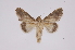  ( - INB0004127372)  @13 [ ] Copyright (2012) I. Chacon Instituto Nacional de Biodiversidad