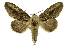  ( - INB0004127476)  @14 [ ] Copyright (2012) Juan Mata Lorenzen Unspecified