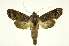  ( - INB0004127499)  @13 [ ] Copyright (2012) Juan Mata Lorenzen Unspecified