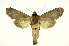  ( - INB0004127499)  @13 [ ] Copyright (2012) Juan Mata Lorenzen Unspecified