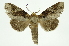  ( - INB0004127517)  @11 [ ] Copyright (2012) Juan Mata Lorenzen Unspecified