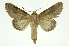  ( - INB0004127575)  @13 [ ] Copyright (2012) Juan Mata Lorenzen Unspecified