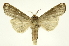  ( - INB0004127603)  @13 [ ] Copyright (2012) Juan Mata Lorenzen Unspecified