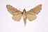  ( - INB0004127627)  @14 [ ] Copyright (2012) I. Chacon Instituto Nacional de Biodiversidad
