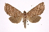  ( - INB0004127628)  @14 [ ] Copyright (2012) I. Chacon Instituto Nacional de Biodiversidad