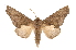  ( - INB0004127653)  @14 [ ] Copyright (2012) I. Chacon Instituto Nacional de Biodiversidad