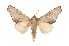 ( - INB0004127653)  @13 [ ] Copyright (2012) I. Chacon Instituto Nacional de Biodiversidad