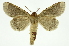  ( - INB0004127655)  @11 [ ] Copyright (2012) Juan Mata Lorenzen Unspecified