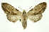  ( - INB0004127738)  @12 [ ] Copyright (2012) Juan Mata Lorenzen Unspecified