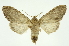  ( - INB0004127738)  @12 [ ] Copyright (2012) Juan Mata Lorenzen Unspecified