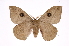  ( - INB0004134911)  @14 [ ] Copyright (2012) I. Chacon Instituto Nacional de Biodiversidad