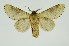  ( - INB0004134955)  @13 [ ] Copyright (2012) Juan Mata Lorenzen Unspecified