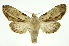  ( - INB0004137567)  @12 [ ] Copyright (2012) Juan Mata Lorenzen Unspecified