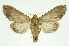  ( - INB0004137567)  @12 [ ] Copyright (2012) Juan Mata Lorenzen Unspecified
