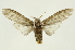  ( - INB0004137573)  @14 [ ] Copyright (2012) Juan Mata Lorenzen Unspecified