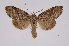  ( - INB0004137580)  @14 [ ] Copyright (2012) I. Chacon Instituto Nacional de Biodiversidad