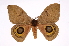  ( - INB0004137789)  @14 [ ] Copyright (2012) I. Chacon Instituto Nacional de Biodiversidad