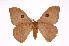  ( - INB0004137789)  @14 [ ] Copyright (2012) I. Chacon Instituto Nacional de Biodiversidad