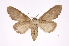  ( - INB0004137800)  @13 [ ] Copyright (2012) I. Chacon Instituto Nacional de Biodiversidad