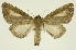  ( - INB0004137906)  @13 [ ] Copyright (2012) Juan Mata Lorenzen Unspecified