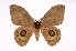  ( - INB0004137917)  @14 [ ] Copyright (2012) I. Chacon Instituto Nacional de Biodiversidad