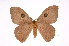 ( - INB0004137917)  @14 [ ] Copyright (2012) I. Chacon Instituto Nacional de Biodiversidad