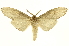  ( - INB0004137947)  @12 [ ] Copyright (2012) Juan Mata Lorenzen Unspecified