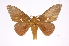  ( - INB0004137951)  @14 [ ] Copyright (2012) I. Chacon Instituto Nacional de Biodiversidad