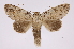  ( - INB0004137959)  @13 [ ] Copyright (2012) I. Chacon Instituto Nacional de Biodiversidad