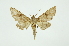  ( - INB0004137964)  @13 [ ] Copyright (2012) Juan Mata Lorenzen INBio