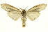  ( - INB0004137967)  @14 [ ] Copyright (2012) J. Montero INBio