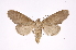  ( - INB0004137982)  @13 [ ] Copyright (2012) I. Chacon Instituto Nacional de Biodiversidad