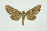  ( - INB0004138019)  @13 [ ] Copyright (2012) Juan Mata Lorenzen INBio