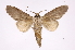  ( - INB0004138023)  @13 [ ] Copyright (2012) I. Chacon Instituto Nacional de Biodiversidad