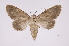  ( - INB0004138049)  @13 [ ] Copyright (2012) I. Chacon Instituto Nacional de Biodiversidad