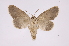  ( - INB0004138051)  @13 [ ] Copyright (2012) I. Chacon Instituto Nacional de Biodiversidad