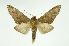  ( - INB0004143766)  @13 [ ] Copyright (2012) Juan Mata Lorenzen Unspecified