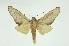  ( - INB0004143766)  @13 [ ] Copyright (2012) Juan Mata Lorenzen Unspecified