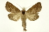  ( - INB0004143823)  @15 [ ] Copyright (2012) Juan Mata Lorenzen Unspecified