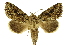  ( - INB0004146879)  @15 [ ] Copyright (2012) Juan Mata Lorenzen Unspecified