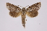 ( - INB0004146909)  @14 [ ] Copyright (2012) I. Chacon Instituto Nacional de Biodiversidad