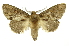  ( - INB0004146911)  @14 [ ] Copyright (2012) Juan Mata Lorenzen Unspecified