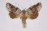  ( - INB0004147263)  @14 [ ] Copyright (2012) I. Chacon Instituto Nacional de Biodiversidad
