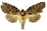  ( - INB0004147269)  @13 [ ] Copyright (2012) Juan Mata Lorenzen Unspecified
