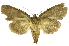 ( - INB0004147269)  @13 [ ] Copyright (2012) Juan Mata Lorenzen Unspecified