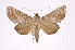  ( - INB0004147334)  @14 [ ] Copyright (2012) I. Chacon Instituto Nacional de Biodiversidad